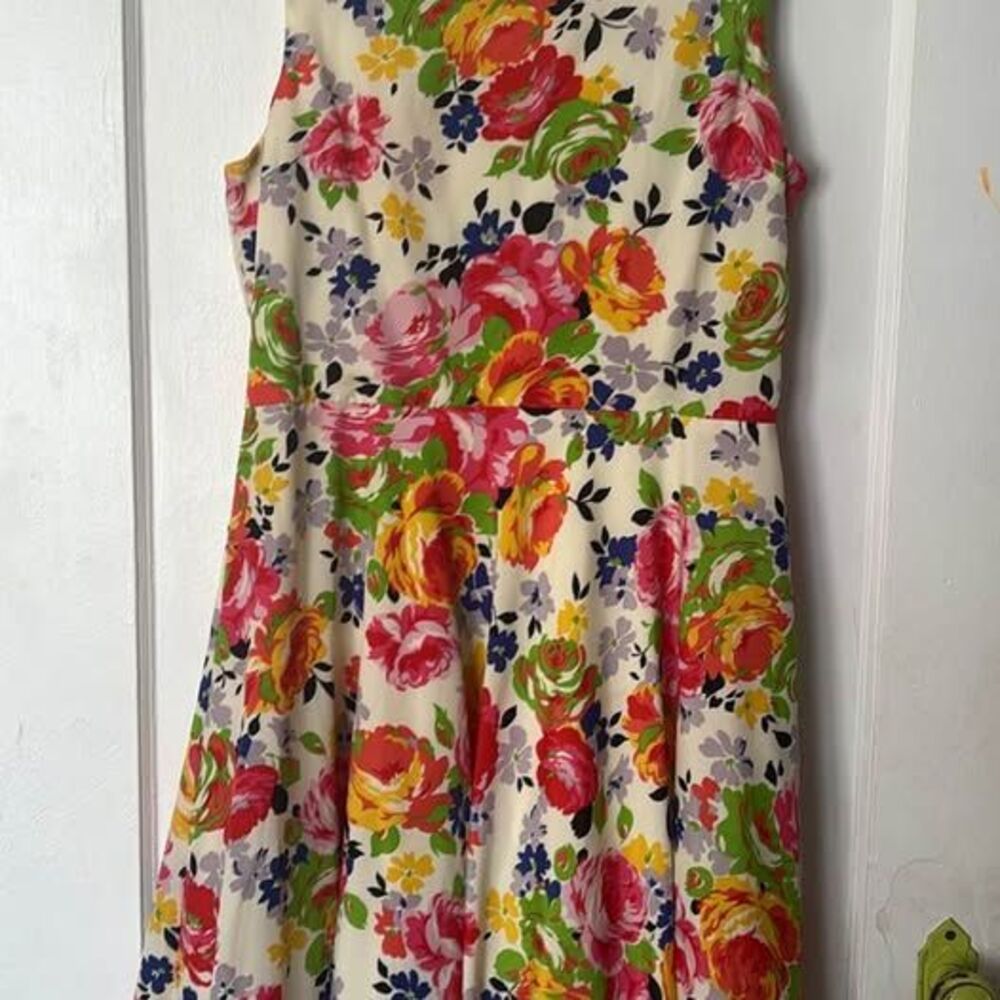 Floral Sleeveless V-Back Fit and Flare Dress Betsy Johnson size 14